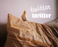 follow our tweets!